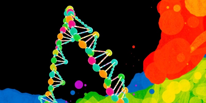 DNA Replication in Eukaryotes and Prokaryotes