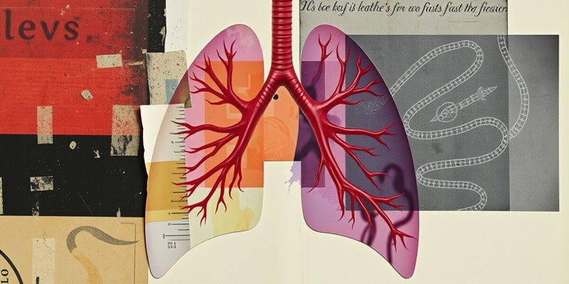 Aparato Respiratorio - Biología 10°