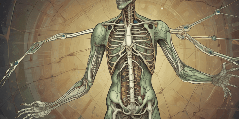 Lymphatic System Functions and Components