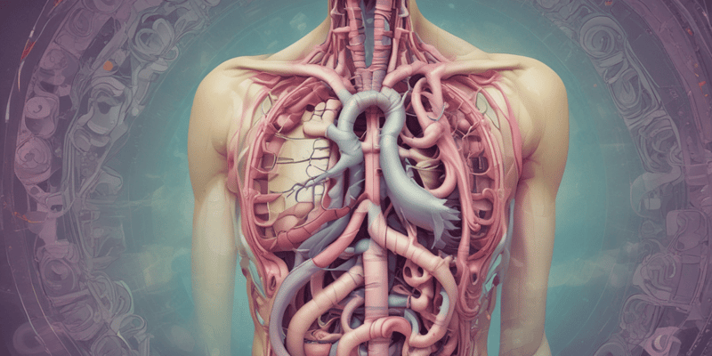 Esophageal Obstruction and Vascular Diseases