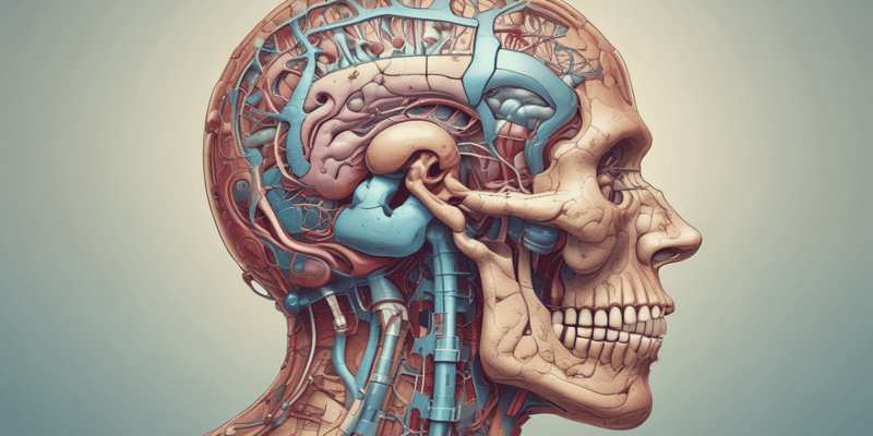 Neuroanatomy: Ascending and Descending Pathways