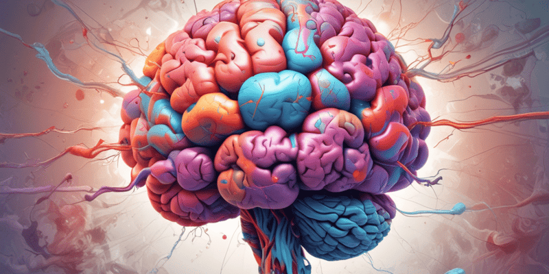 Brain Parts & Functions