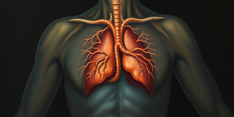 Sistema Endocrino - Funciones y Glándulas