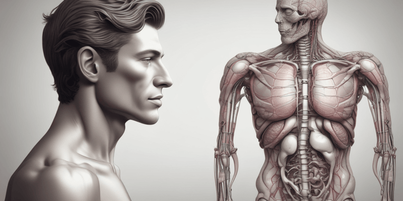 Anatomia Humana: Órgãos Internos e Glândulas Acessórias