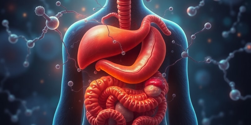 Digestive System Overview Quiz