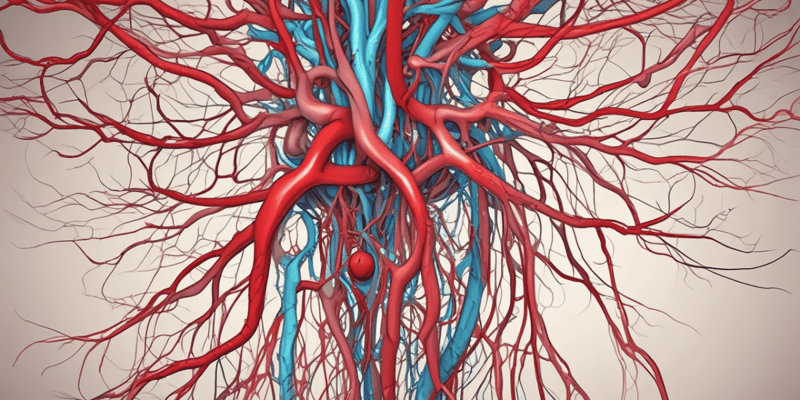 Major Blood Vessels: Pulmonary Arteries