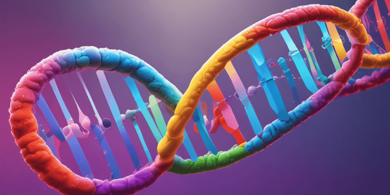 Understanding DNA Structure and Function