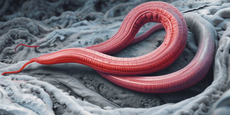 2023 Scientific Discoveries: Awakening of Ancient Worm