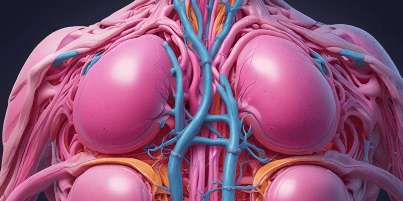 Breast Anatomy and Development Quiz