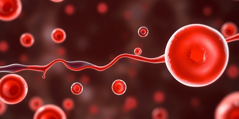 Coagulation and Hemostasis Quiz