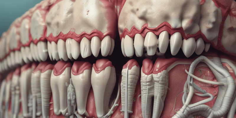 Cementum in Periodontium