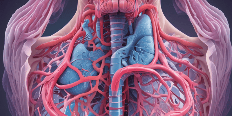 Respiratory System: Trachea, Bronchi, and Larynx Structure