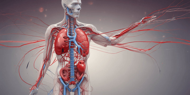 Cardiovascular System and Shock Quiz
