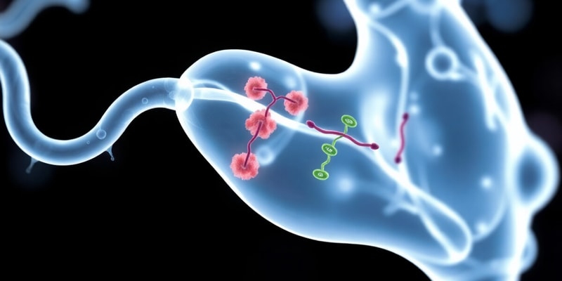 Citric Acid Cycle and Cellular Respiration