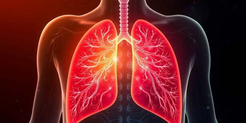 Respiratory System Functions Quiz