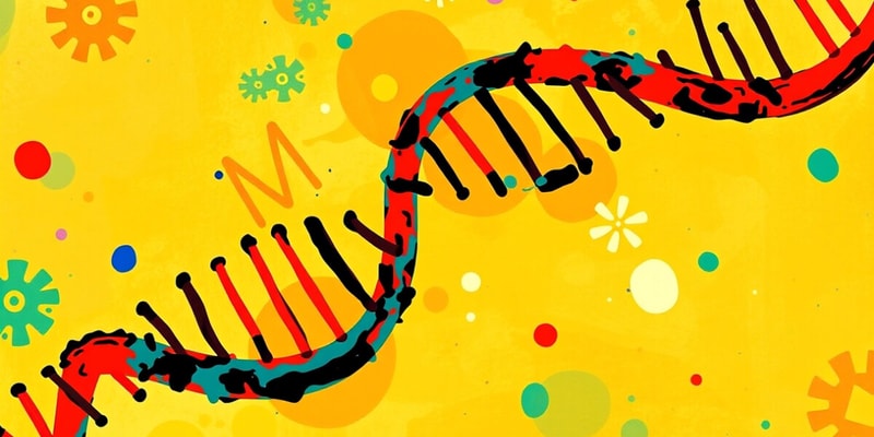 Biology DNA and mRNA Flashcards