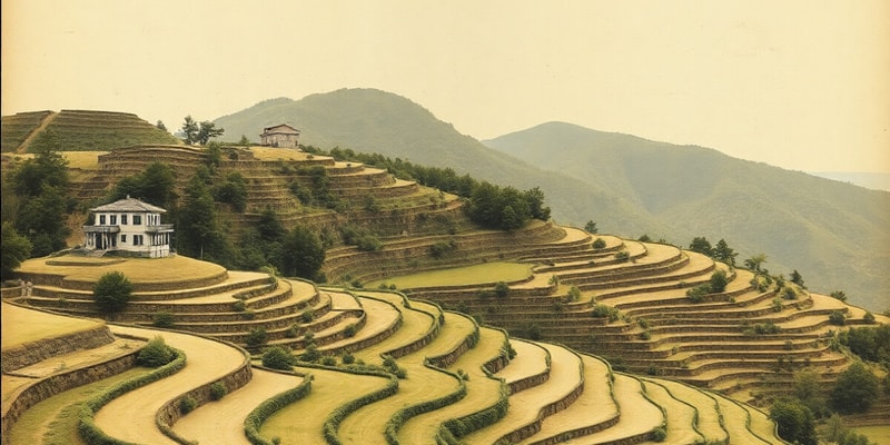 Terracing Techniques in Agriculture