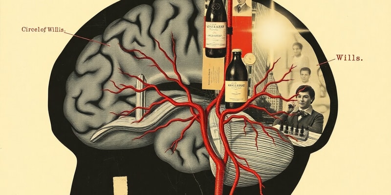 Circle of Willis and Internal Carotid Artery