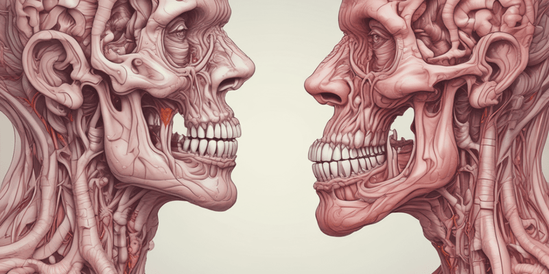 Mouth and Digestion Overview