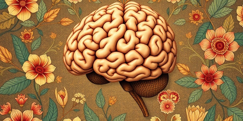 Neuroscience Quiz: Brain Development and History