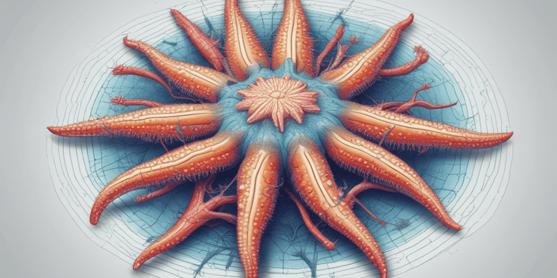 Echinoderms and Their Characteristics Quiz