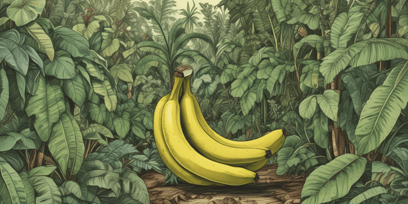 Doença de Sigatoka Negra em Cultivos de Banana