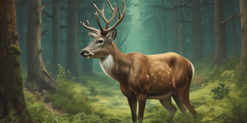 Deer Biology and Characteristics