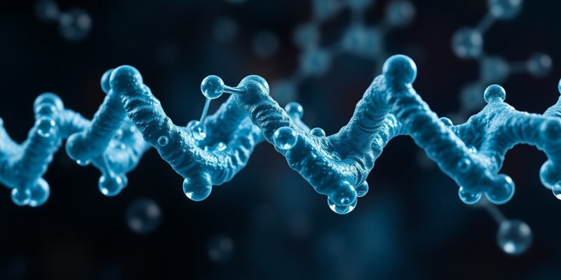 Fonction enzymatique - Chapitre Glucides