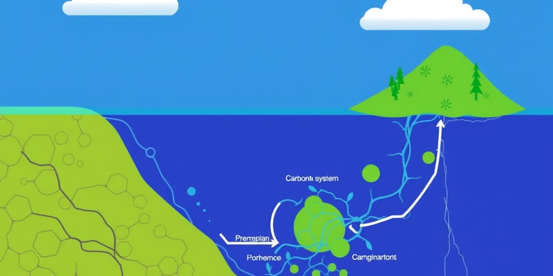 The Carbonate System Overview