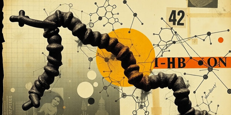 Amino Acids and Their Functions