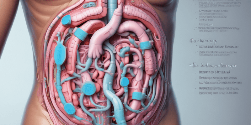 Colon Anatomy: Understanding the Structure and Functions