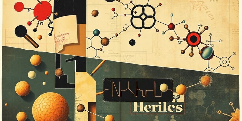 Enzyme Reactions in Drug Metabolism