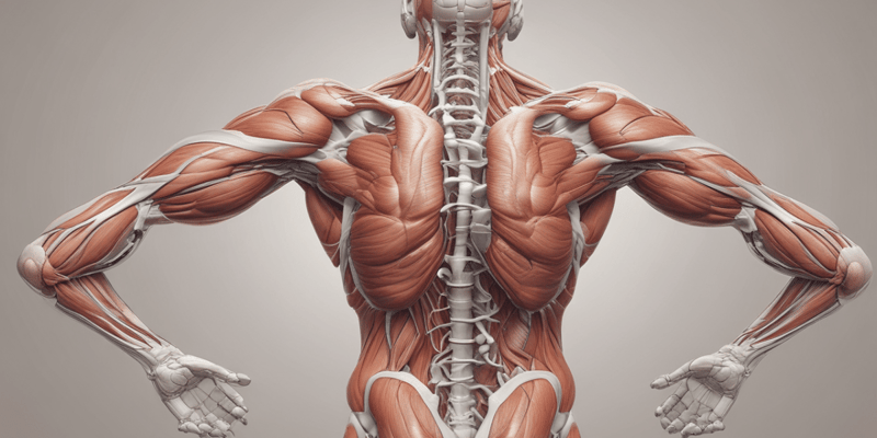 Muscles in Organ Systems Quiz
