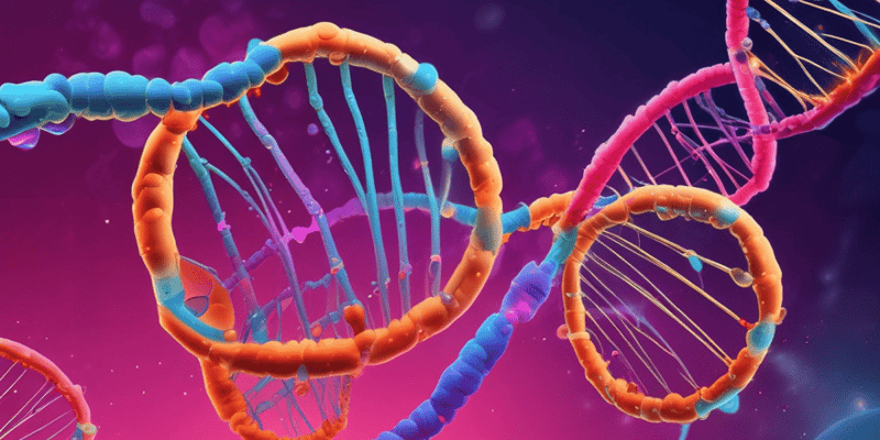 DNA Mutations and Cell Proliferation Quiz