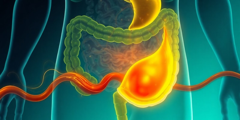 Bile and Biliary Secretion Quiz