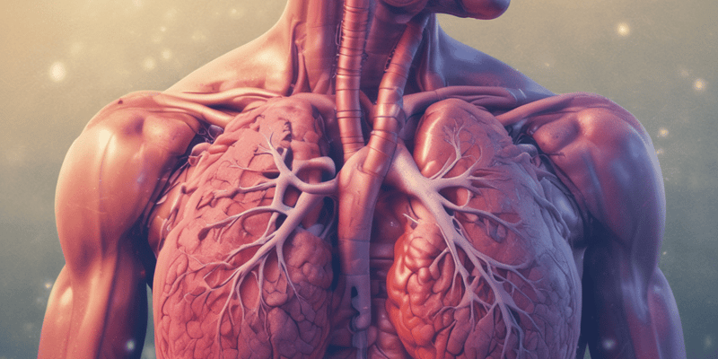 L'abcès du poumon : définition et stades évolutifs