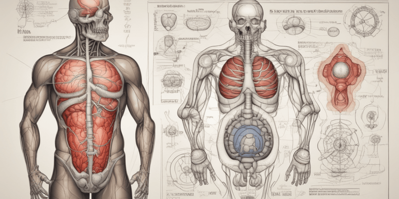 Hepcidin and Iron Metabolism