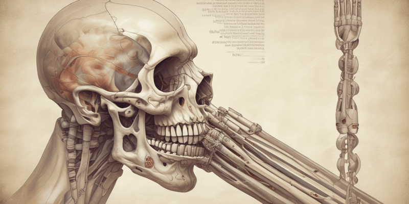 Biology Chapter 9 Fibrous Joints