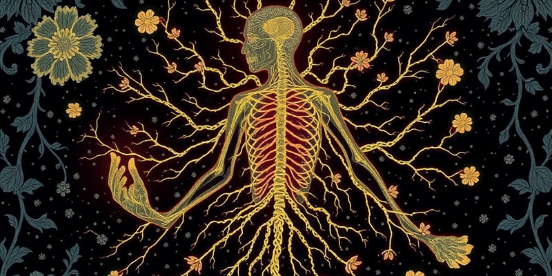 Nervous System: Communication and Control