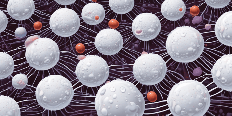 Leukocytes: The White Blood Cells