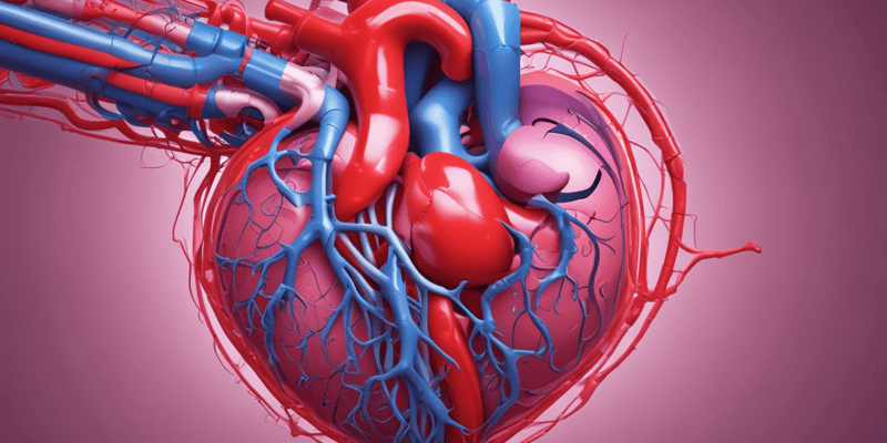 Cardiovascular System: Problems and Pathophysiology