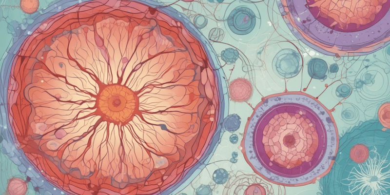 Human Stem Cells and Organ Regeneration