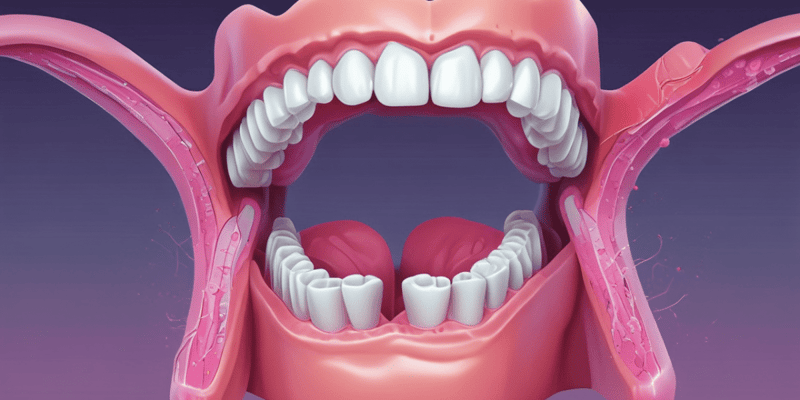 Dental Histopathology Quiz