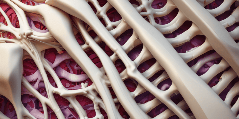 Lamellar and Compact Bone: Structure and Mechanics