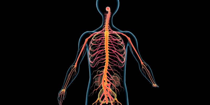 Autonomic Nervous System Case Studies