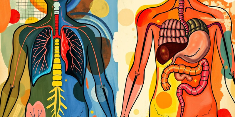 Human Body Systems Overview