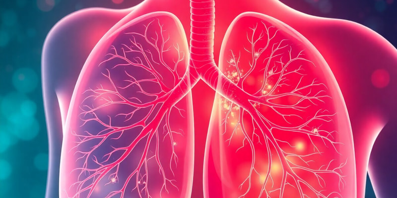 Pulmonary Autonomic Pharmacology Overview