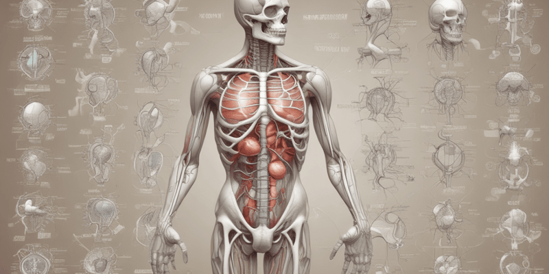 Anatomy and Physiology Fundamentals