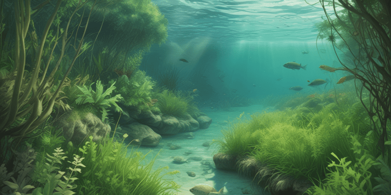 Posidonia Oceanica Meadow Ecosystems change new