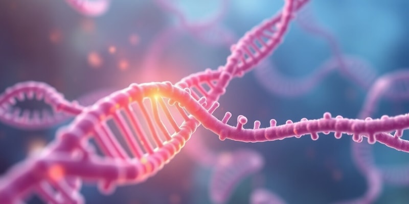 Molecular Biology: RNA Processing